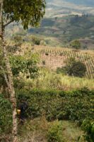 Kolumbien La Aldea Gewaschen