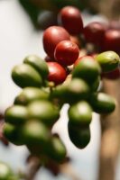 Kolumbien La Aldea Gewaschen