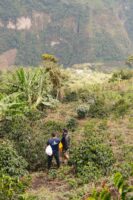 Kolumbien La Aldea Gewaschen