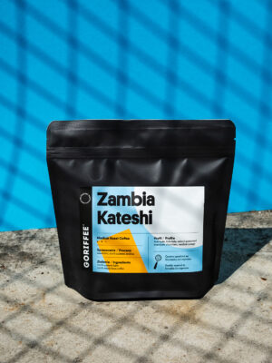 zambia-kateshi-45