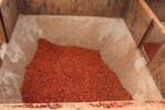 Kenya Ruera natural