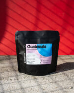 Guatemala Esperanza del Bosque Washed