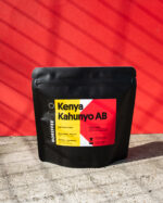 Kenya Kahunyo AB Washed