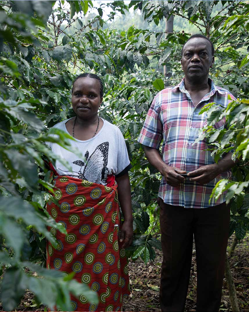 Rwanda Gasharu Washed – Obrázok 4