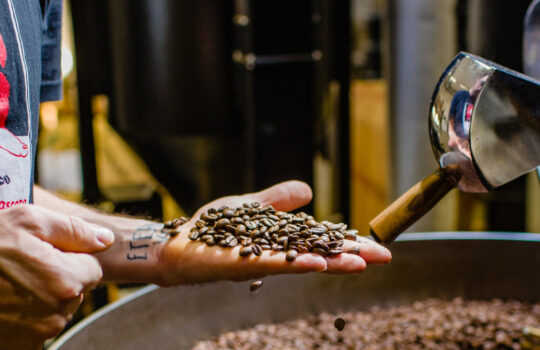 best-grain-coffee-goriffee